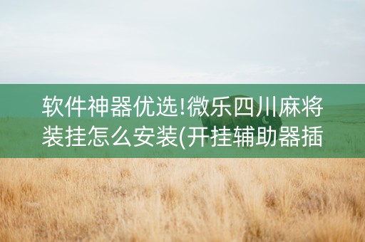软件神器优选!微乐四川麻将装挂怎么安装(开挂辅助器插件)
