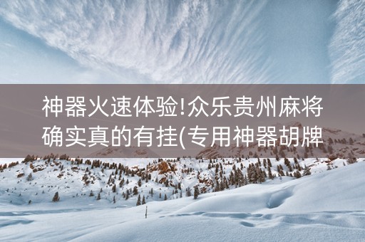 神器火速体验!众乐贵州麻将确实真的有挂(专用神器胡牌技巧)