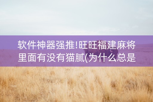 软件神器强推!旺旺福建麻将里面有没有猫腻(为什么总是输)