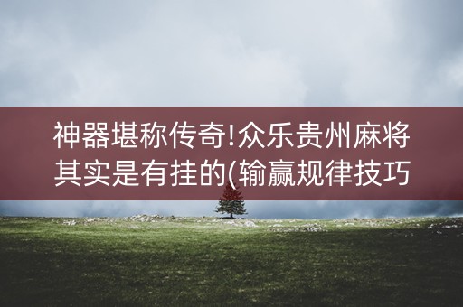 神器堪称传奇!众乐贵州麻将其实是有挂的(输赢规律技巧)