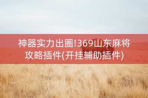 神器实力出圈!369山东麻将攻略插件(开挂辅助插件)