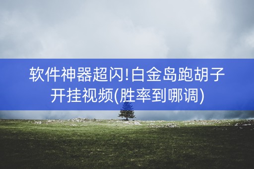 软件神器超闪!白金岛跑胡子开挂视频(胜率到哪调)