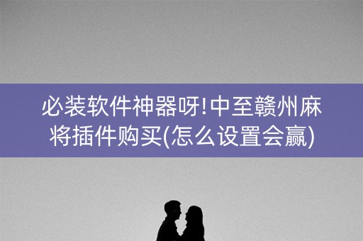 必装软件神器呀!中至赣州麻将插件购买(怎么设置会赢)