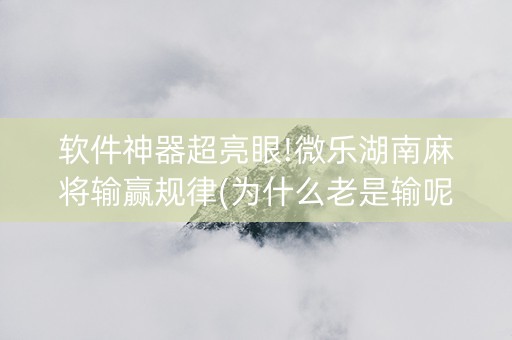 软件神器超亮眼!微乐湖南麻将输赢规律(为什么老是输呢)