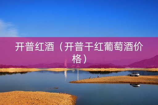 开普红酒（开普干红葡萄酒价格）