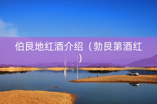 伯艮地红酒介绍（勃艮第酒红）