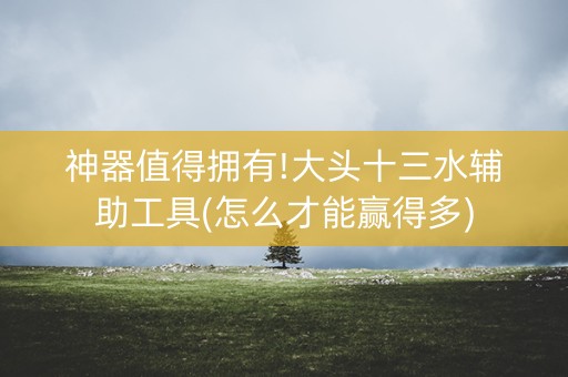 神器值得拥有!大头十三水辅助工具(怎么才能赢得多)