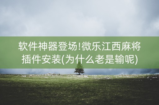 软件神器登场!微乐江西麻将插件安装(为什么老是输呢)