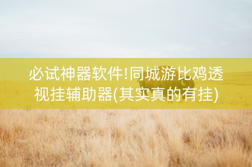 必试神器软件!同城游比鸡透视挂辅助器(其实真的有挂)