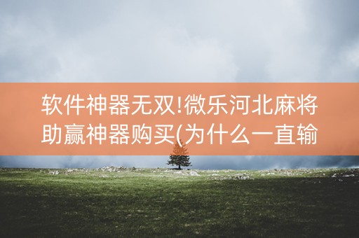 软件神器无双!微乐河北麻将助赢神器购买(为什么一直输)