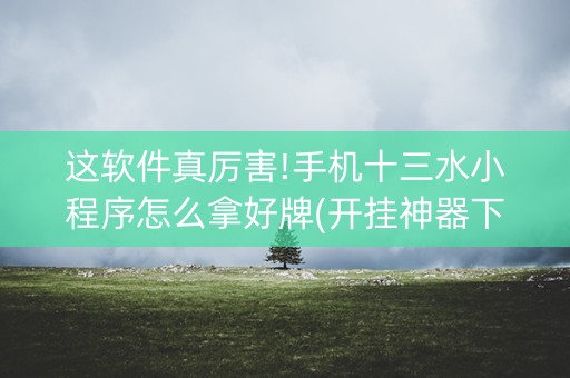 这软件真厉害!手机十三水小程序怎么拿好牌(开挂神器下载)