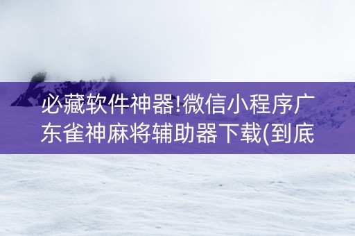 必藏软件神器!微信小程序广东雀神麻将辅助器下载(到底是不是有挂)