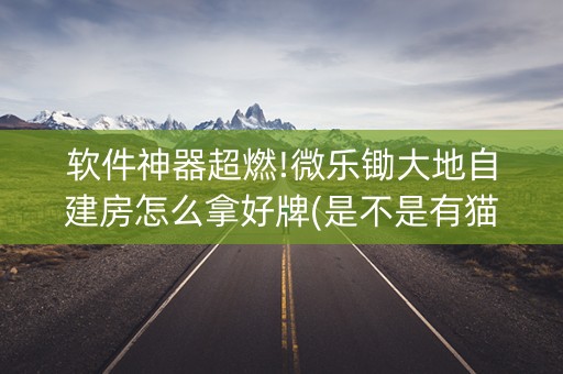 软件神器超燃!微乐锄大地自建房怎么拿好牌(是不是有猫腻)