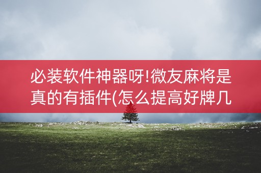 必装软件神器呀!微友麻将是真的有插件(怎么提高好牌几率)