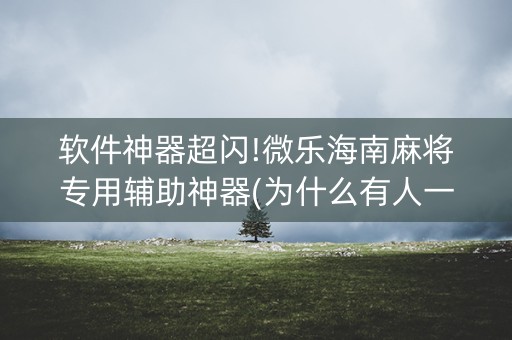 软件神器超闪!微乐海南麻将专用辅助神器(为什么有人一直赢)