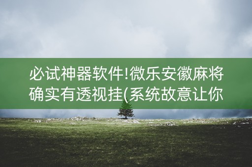 必试神器软件!微乐安徽麻将确实有透视挂(系统故意让你输)