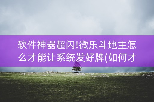 软件神器超闪!微乐斗地主怎么才能让系统发好牌(如何才能赢)