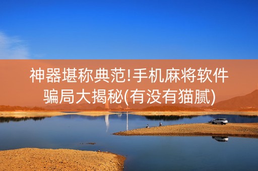 神器堪称典范!手机麻将软件骗局大揭秘(有没有猫腻)