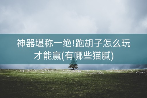 神器堪称一绝!跑胡子怎么玩才能赢(有哪些猫腻)