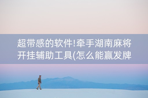 超带感的软件!牵手湖南麻将开挂辅助工具(怎么能赢发牌规律)