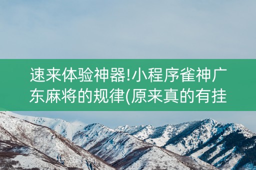 速来体验神器!小程序雀神广东麻将的规律(原来真的有挂)