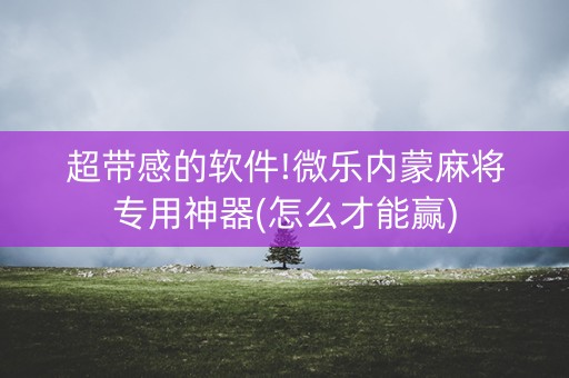 超带感的软件!微乐内蒙麻将专用神器(怎么才能赢)