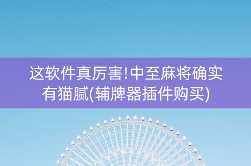 这软件真厉害!中至麻将确实有猫腻(辅牌器插件购买)