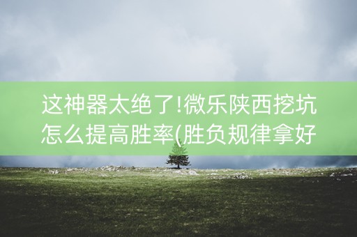 这神器太绝了!微乐陕西挖坑怎么提高胜率(胜负规律拿好牌)