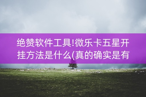 绝赞软件工具!微乐卡五星开挂方法是什么(真的确实是有挂)