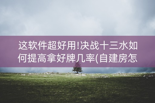 这软件超好用!决战十三水如何提高拿好牌几率(自建房怎么赢)