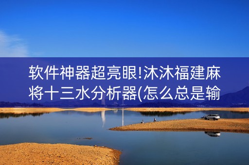 软件神器超亮眼!沐沐福建麻将十三水分析器(怎么总是输)