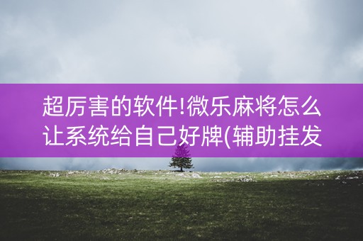 超厉害的软件!微乐麻将怎么让系统给自己好牌(辅助挂发牌规律)