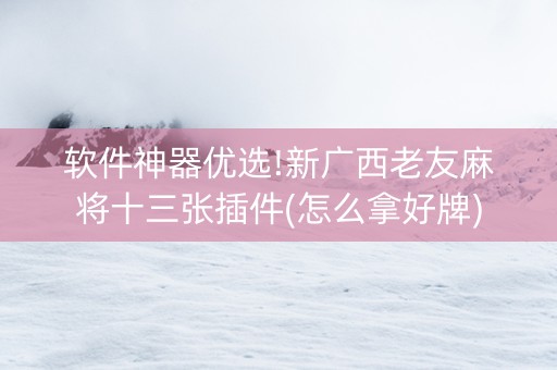 软件神器优选!新广西老友麻将十三张插件(怎么拿好牌)