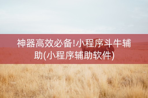 神器高效必备!小程序斗牛辅助(小程序辅助软件)