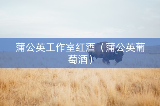 蒲公英工作室红酒（蒲公英葡萄酒）
