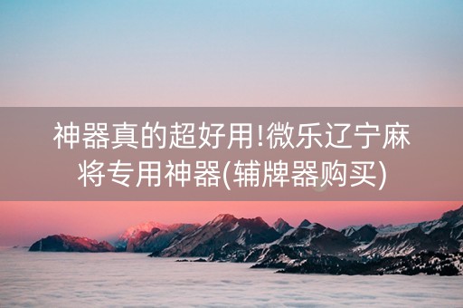 神器真的超好用!微乐辽宁麻将专用神器(辅牌器购买)