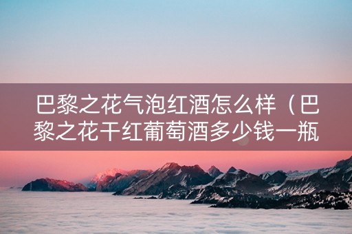 巴黎之花气泡红酒怎么样（巴黎之花干红葡萄酒多少钱一瓶）
