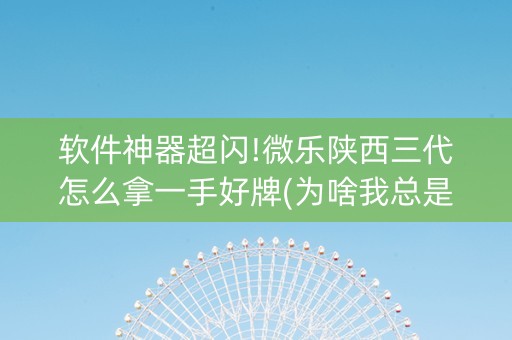 软件神器超闪!微乐陕西三代怎么拿一手好牌(为啥我总是输)