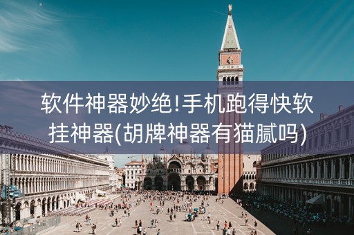 软件神器妙绝!手机跑得快软挂神器(胡牌神器有猫腻吗)