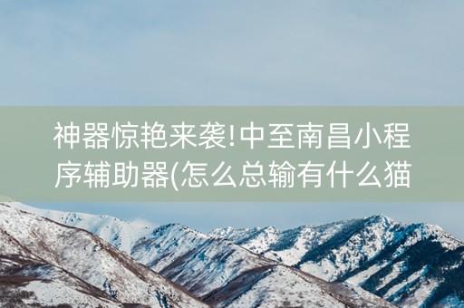 神器惊艳来袭!中至南昌小程序辅助器(怎么总输有什么猫腻)