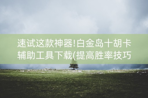 速试这款神器!白金岛十胡卡辅助工具下载(提高胜率技巧)