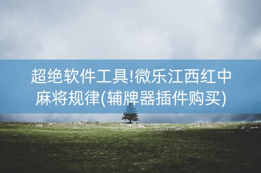 超绝软件工具!微乐江西红中麻将规律(辅牌器插件购买)