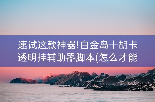 速试这款神器!白金岛十胡卡透明挂辅助器脚本(怎么才能赢)