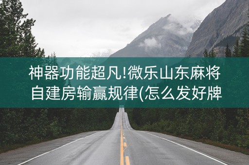 神器功能超凡!微乐山东麻将自建房输赢规律(怎么发好牌)