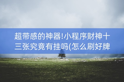 超带感的神器!小程序财神十三张究竟有挂吗(怎么刷好牌)
