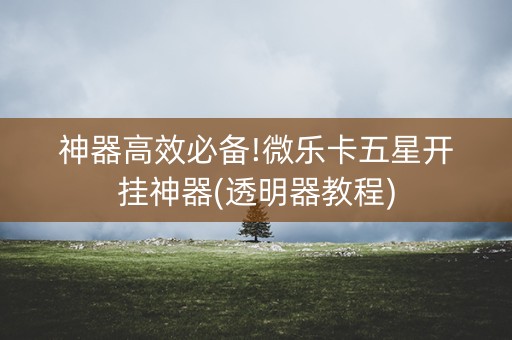 神器高效必备!微乐卡五星开挂神器(透明器教程)