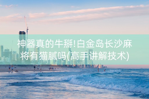 神器真的牛掰!白金岛长沙麻将有猫腻吗(高手讲解技术)