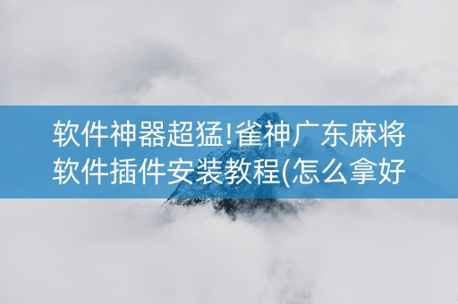 软件神器超猛!雀神广东麻将软件插件安装教程(怎么拿好牌)