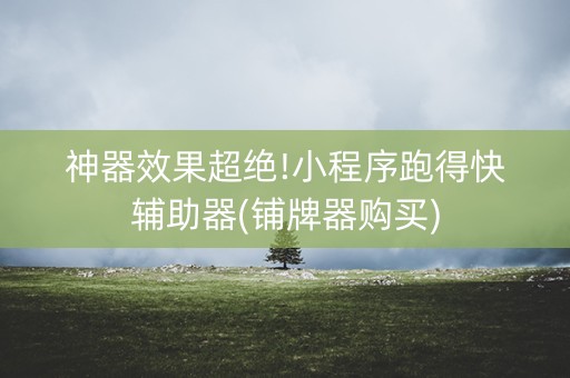 神器效果超绝!小程序跑得快辅助器(铺牌器购买)