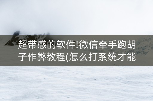 超带感的软件!微信牵手跑胡子作弊教程(怎么打系统才能给好牌)